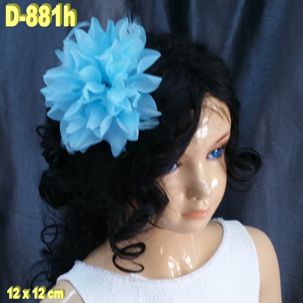 D-881h (1)